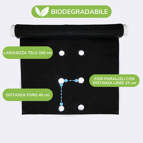 Telo Film Pacciamatura Biodegradabile - Due linee di fori ogni 40cm - Largo 100cm