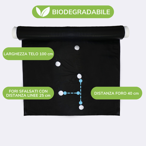 Telo Film Pacciamatura Biodegradabile - Forato Sfalsato ogni 40cm e distanza linee 25 cm - Largo 100cm