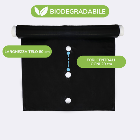 Telo Film Pacciamatura Biodegradabile- Forato ogni 20cm - Largo 80cm