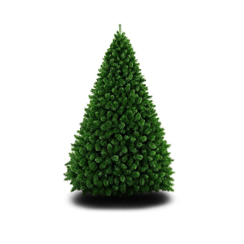 Albero Natale Germogliato