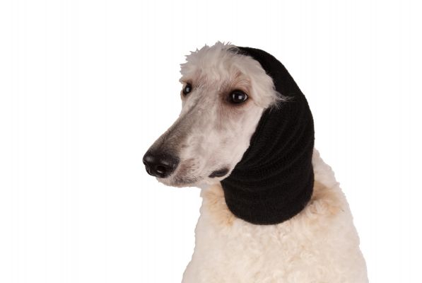 Fascia Per Capelli Con Orecchie Di Cane ZOONAI: Peluche Morbido Per Halloween E Natale, Donna E Ragazza