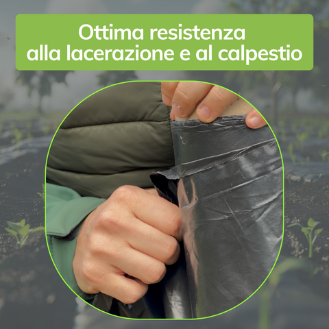 Telo Film Pacciamatura - Forato ogni 40cm - Largo 90cm