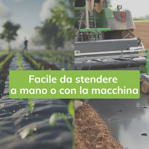 Telo Film Pacciamatura - Forato ogni 40cm - Largo 90cm