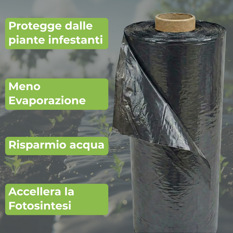 Telo Film Pacciamatura - Forato ogni 40cm - Largo 90cm