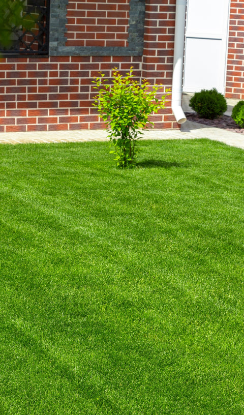 Prati Sintetici Effetto Naturale
