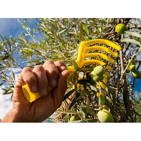 Manina Raccogli Olive